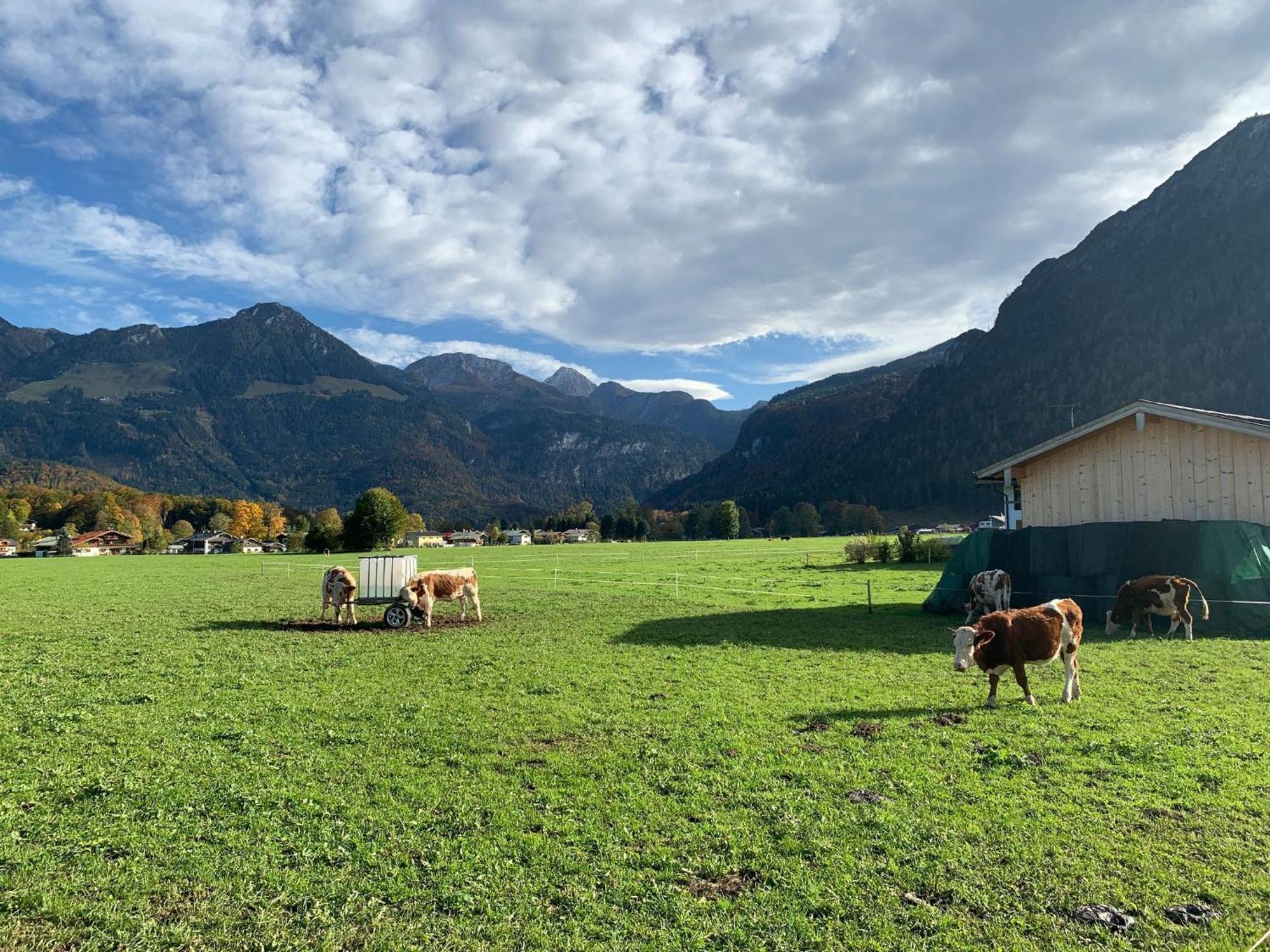 Ferienwohnung Hochkalterblick Schönau am Königssee Exteriér fotografie